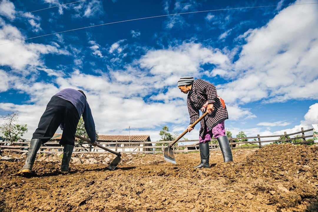 seniors gardening together