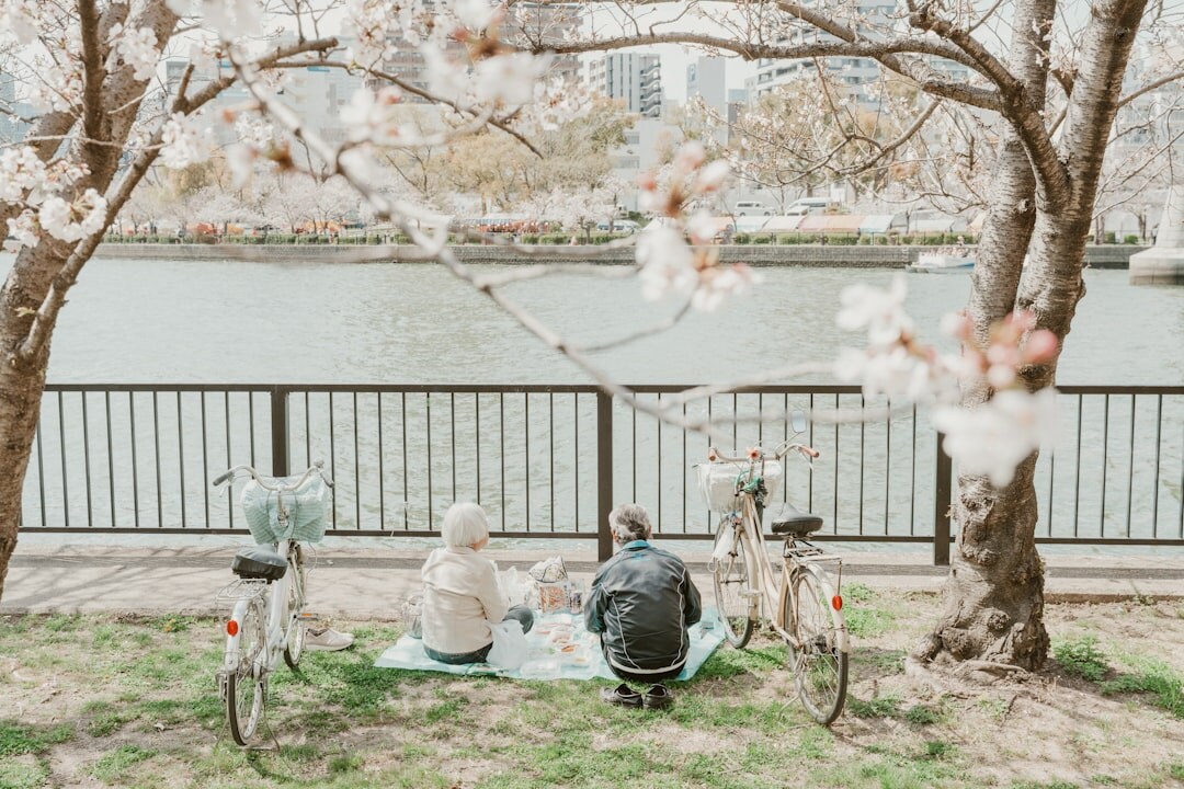 seniors enjoying a picnic outdoors