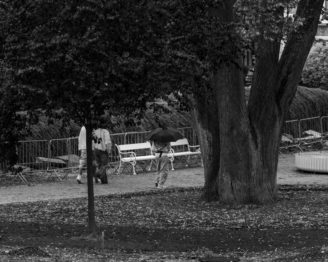 senior couple walking in park