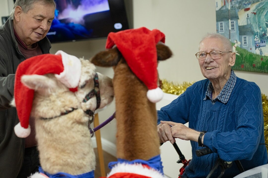 seniors enjoying seasonal activities